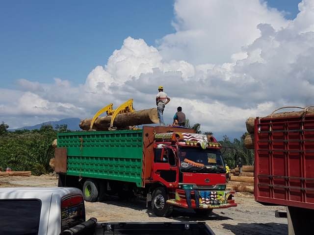 Transporting logs by truck