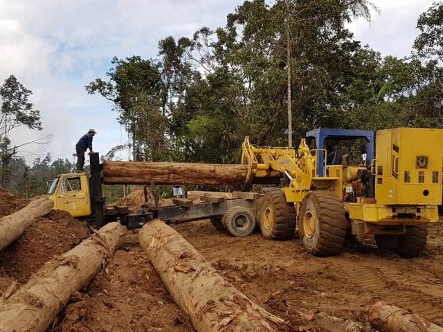 Loading logs with heavy equipment